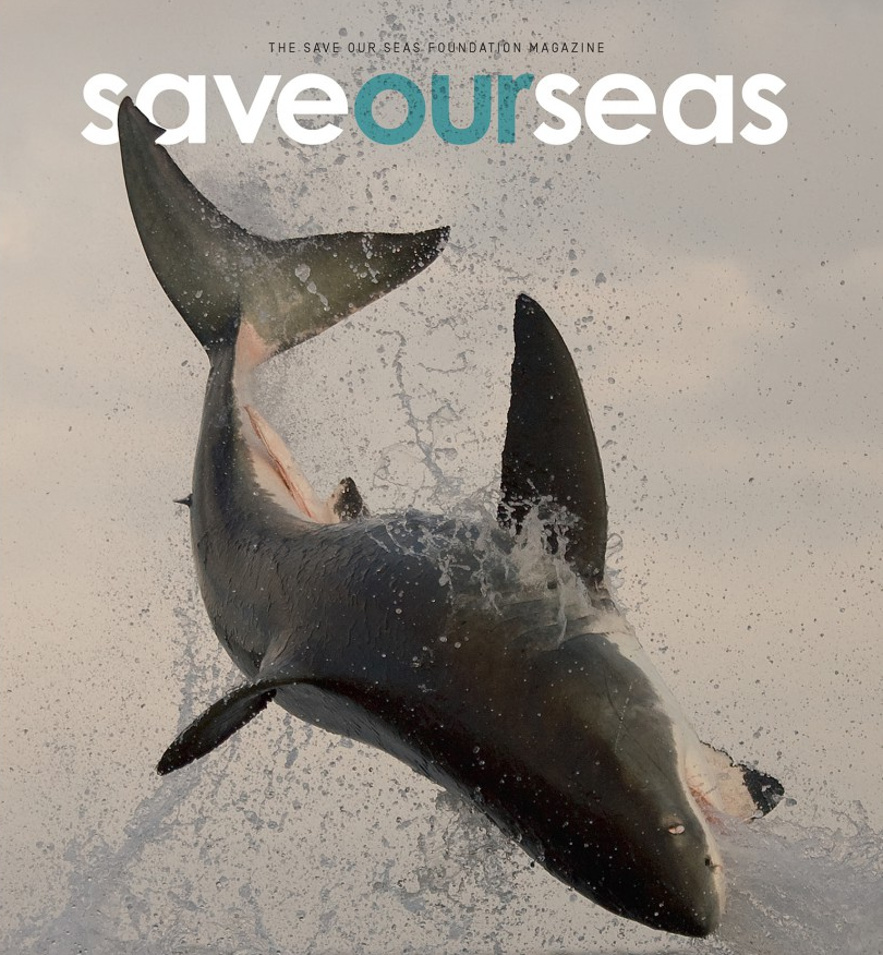 Photo: Save our Seas Foundation Magazine  