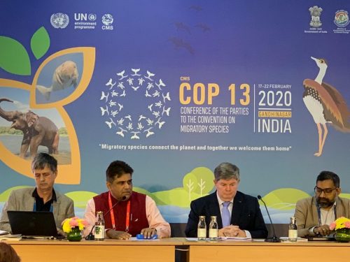 Indian Govt Inspector General speaking at COP13 Side Event