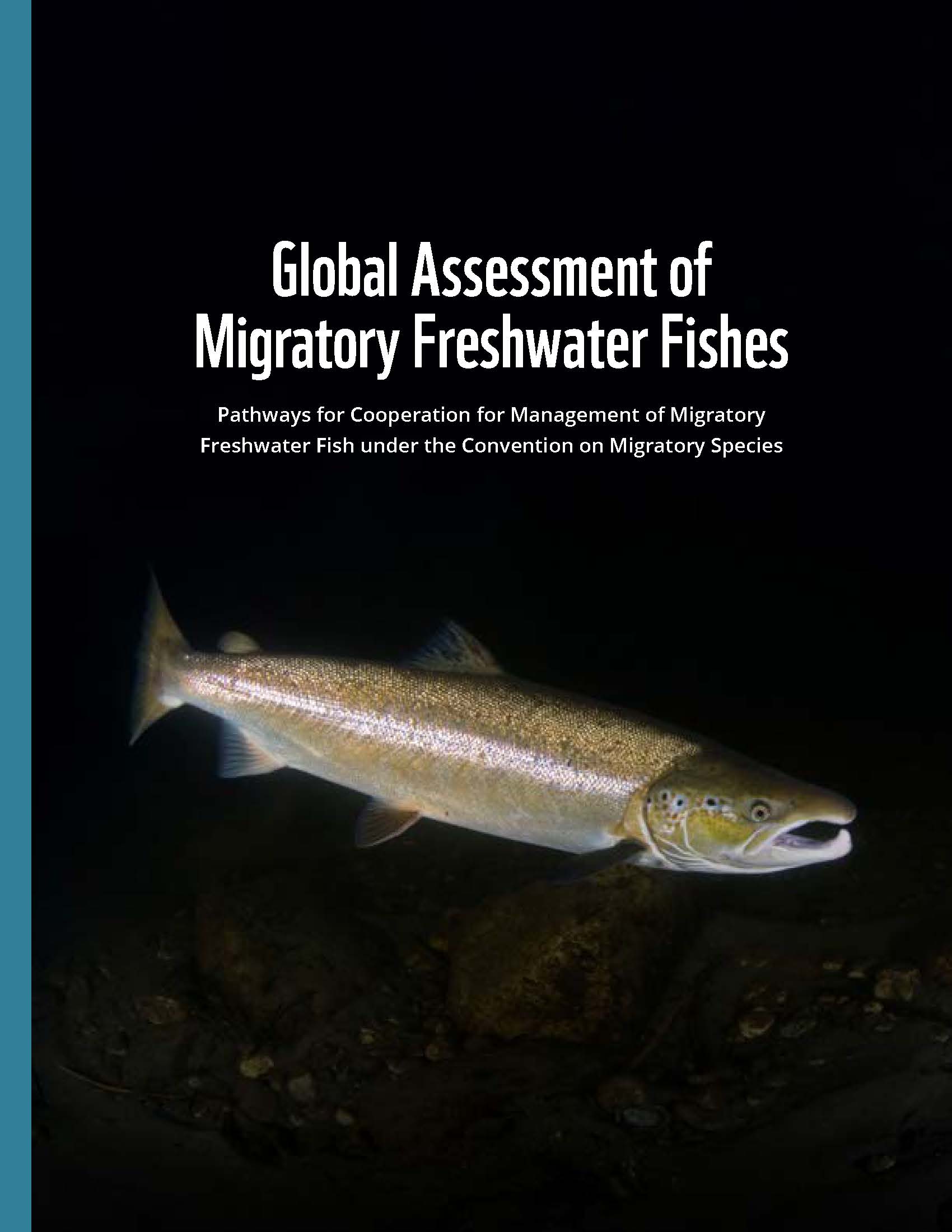 fish cover