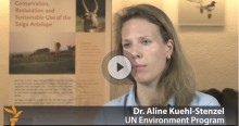 Dr. Aline Kühl-Stenzel interviewed on the Saiga sudden die off
